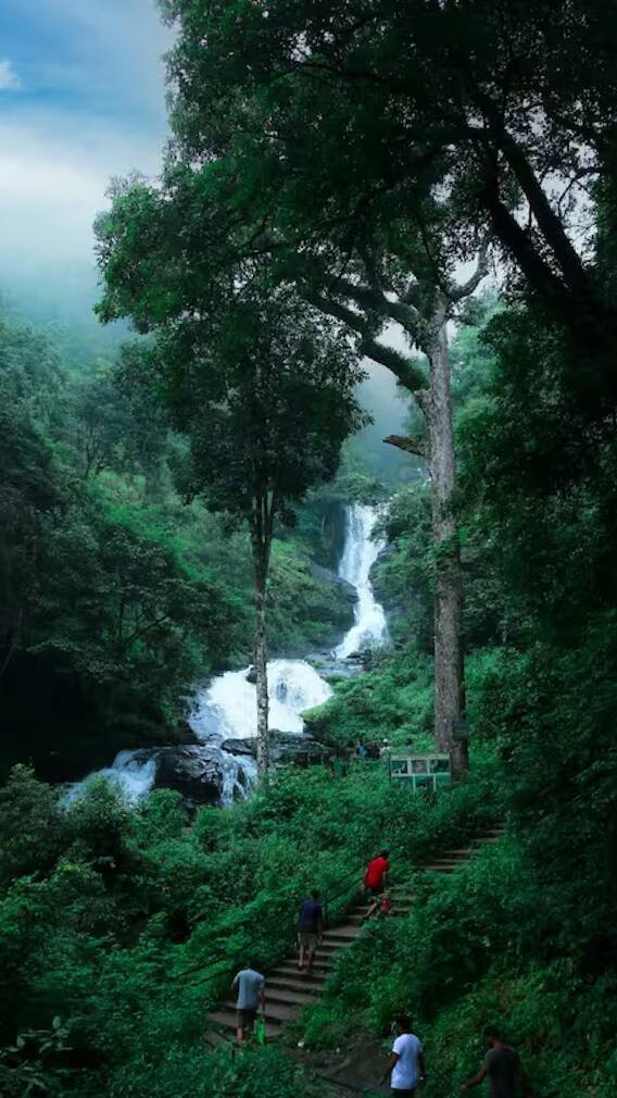 भारताच्या या ठिकाणी पडतो सर्वाधिक पाऊस