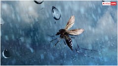 घर में गलती से भी नहीं घुस पाएंगे बारिश वाले कीड़े, होममेड स्प्रे से चुटकियों में हो जाएगी इनकी छुट्टी