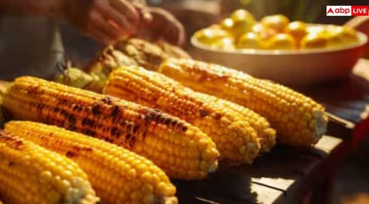 Benefits of Eating Corn in Monsoon Season: ਮਾਨਸੂਨ ਵਿੱਚ ਛੱਲੀ ਖਾਣ ਦੇ ਬਹੁਤ ਸਾਰੇ ਫਾਇਦੇ ਹੁੰਦੇ ਹਨ। ਇਹ ਇਮਿਊਨਿਟੀ ਵਧਾਉਂਦਾ, ਪਾਚਨ ਕਿਰਿਆ ਨੂੰ ਬਿਹਤਰ ਬਣਾਉਂਦਾ ਹੈ ਅਤੇ ਦਿਲ ਨੂੰ ਸਿਹਤਮੰਦ ਰੱਖਦਾ ਹੈ।