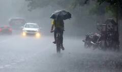 Heavy Rain Alert: આગામી 6 દિવસ સુધી ધોધમાર વરસાદની આગાહી, આ રાજ્યોમાં ભારે વરસાદનું એલર્ટ 