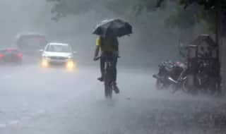 Rain: સાર્વત્રિક વરસાદથી 'કહી ખુશી કહી ગમ', છેલ્લા 24 કલાકમાં 149 તાલુકામાં મેઘરાજાની ધમાકેદાર બેટિંગ