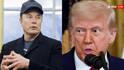 Trump Threatens To Deport Elon Musk Over EV Subsidies: 'Close Up Shop and Leave!'