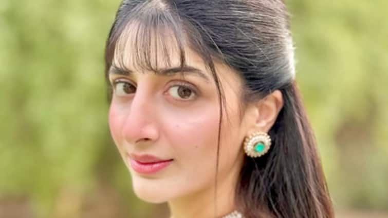 Pakistani Actors’ Instagram Accounts, Including Mawra Hocane, Now Visible In India Pakistani Actors’ Instagram Accounts, Including Mawra Hocane, Now Visible In India