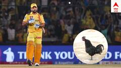 MS Dhoni: রাঁচিতে মুরগির মাংস বিক্রি করছেন ধোনি? তাও আবার ১০০০ টাকা কিলো!