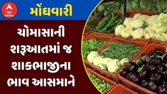Vegetable Price Hike : ચોમાસાની શરૂઆત સાથે શાકભાજીના ભાવમાં મોટો વધારો, જુઓ અહેવાલ