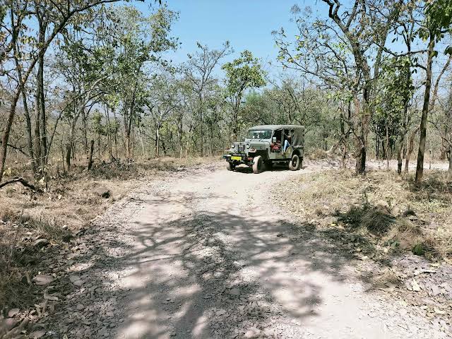 Istakameswari Temple: పెద్దపులల శృంగారం కోసం 3 నెలలు మూసి ఉంచే అమ్మవారి ఆలయం APలో ఉందని తెలుసా?
