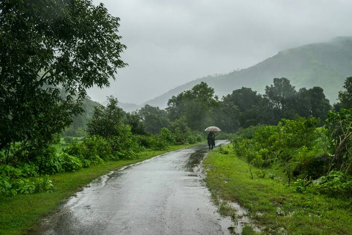 Lightroom, VSCO, Snapseed वापरून थोडे contrast, saturation आणि sharpness add करा.  Rainy tone साठी हलके निळसर (cool blue) किंवा मटमैटे (muted) filters वापरा.