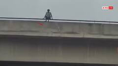 Watch: पत्नी से झगड़े के बाद फ्लाईओवर पर चढ़ा शख्स, करने जा रहा था सुसाइड, हाईवोल्टेज ड्रामे का Video वायरल
