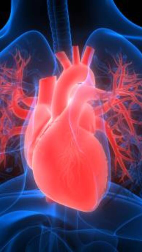 क्या लिवर की तरह हार्ट भी होता है फैटी?