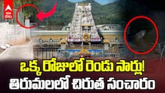 Leopard Spotted in Tirumala | తిరుమలలో ఒకే రోజు రెండు సార్లు కనిపించిన చిరుతపులి
