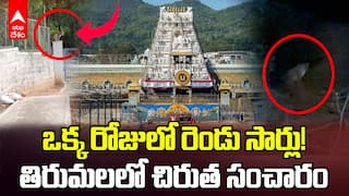 Leopard Spotted in Tirumala | తిరుమలలో ఒకే రోజు రెండు సార్లు కనిపించిన చిరుతపులి