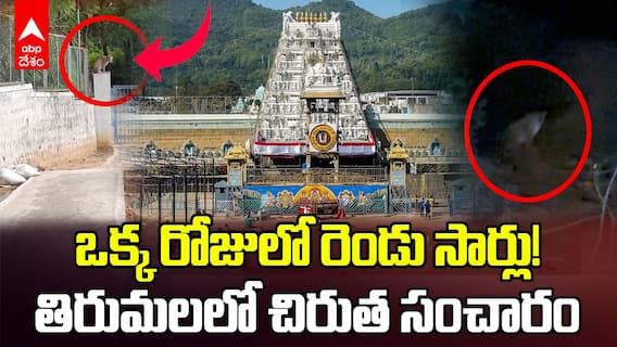 Leopard Spotted in Tirumala | తిరుమలలో ఒకే రోజు రెండు సార్లు కనిపించిన చిరుతపులి