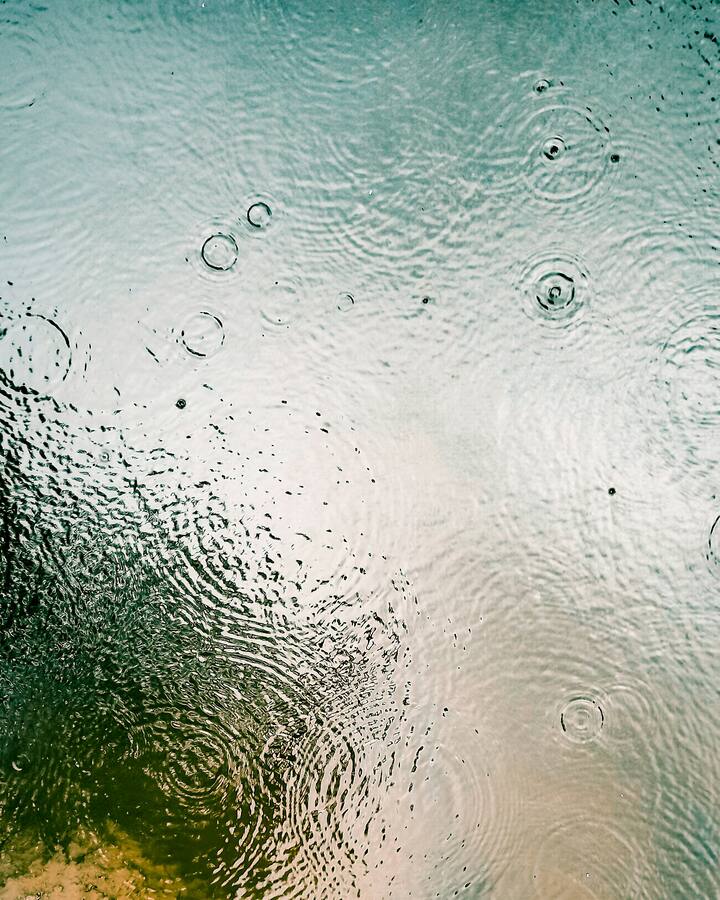 झाडांच्या पानांवर किंवा काचांवरचे पाण्याचे थेंब macro mode वापरून कॅप्चर करा.