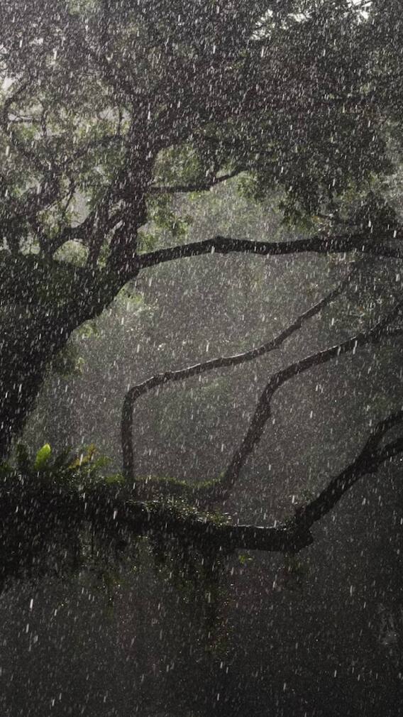 क्लाउड सीडींगमुळे किती वेळ पडतो पाऊस?