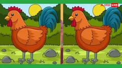 तस्वीर में छिपे 3 अंतरों को पहचानिए...10 सेकंड में खोजने वालों को बधाई