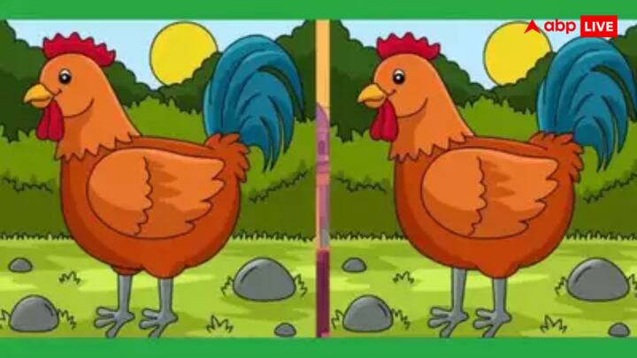 देखने में दोनों तस्वीरें एक जैसी लगती हैं, लेकिन अगर ध्यान से देखें तो इनमें 3 छोटे-छोटे अंतर हैं जो आपकी नजरें और दिमाग दोनों की परीक्षा लेते हैं.