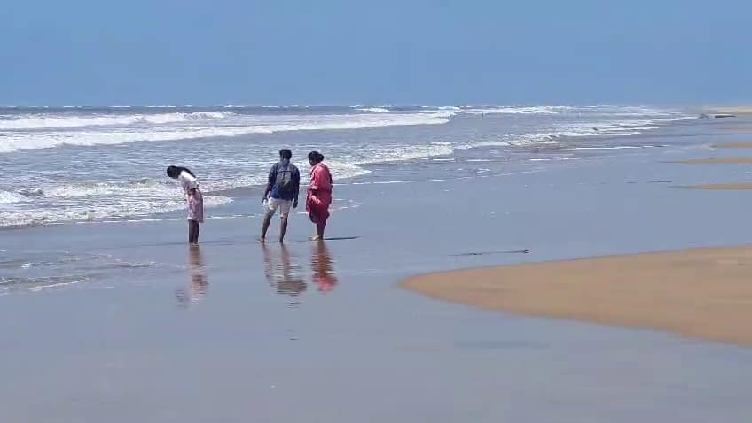 Jelly Fish Fear: కోనసీమ తీరంలో జెల్లీ ఫిష్లు నిజంగానే కరుస్తున్నాయా? ప్రజల్లో ఆందోళన, తీసుకోవాల్సిన జాగ్రత్తలు!