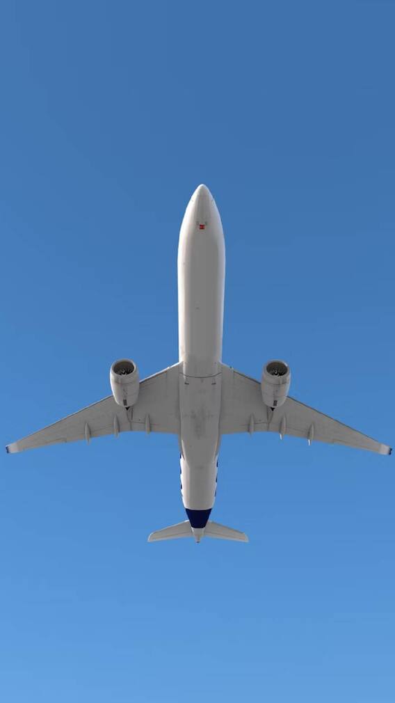 उडत्या विमानाचा एक्झिट दरवाजा उघडला गेला तर काय होईल?