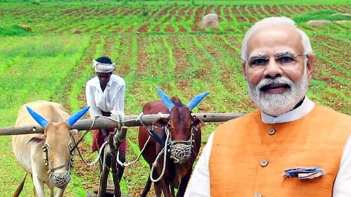 देश के करोड़ों की किसानों को सरकार की प्रधानमंत्री किसान सम्मान निधि योजना के तहत लाभ मिलता है. सरकार अब तक इस योजना के तहत कुल 19 किस्तें जारी कर चुकी है. अब किसानों को 20वीं किस्त तक का इतंजार है.