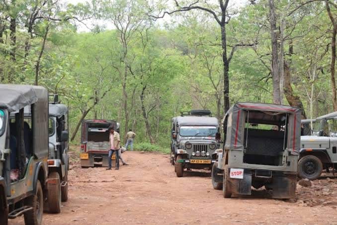Istakameswari Temple: పెద్దపులల శృంగారం కోసం 3 నెలలు మూసి ఉంచే అమ్మవారి ఆలయం APలో ఉందని తెలుసా?