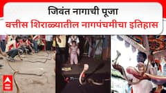 बत्तीस शिराळ्यात नागपंचमीची परंपरा पुन्हा सुरू होणार? सरकार दरबारी हालचाली; जिवंत नागाची पूजा करण्याचा काय आहे इतिहास? 