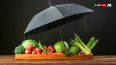 नोएडा में यमुना के जलस्तर बढ़ने से लोगों की जेब पर पड़ रहा असर, सब्जियों की कीमतो में हुआ इजाफा