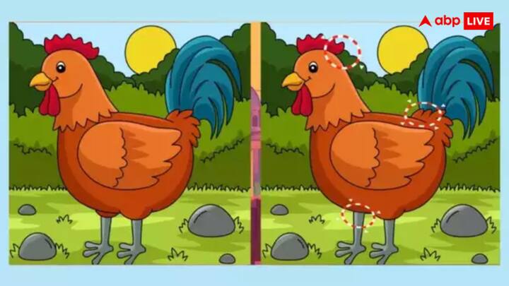 चलिए आपको इस पहेली का उत्र दे ही देते हैं. गौर से देखने पर आपको ये उत्तर दिखे हों या नहीं, लेकिन इस तस्वीर से आपके सारे शक दूर हो जाएंगे.