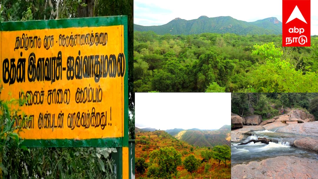 ஜவ்வாதுமலையில் சாகச சுற்றுலா தளம் ! அமைச்சர் தந்த அதிரடி அப்டேட்.... குஷியில் சுற்றுலா பயணிகள் !