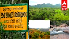 ஜவ்வாதுமலையில் சாகச சுற்றுலா தளம் ! அமைச்சர் தந்த அதிரடி அப்டேட்.... குஷியில் சுற்றுலா பயணிகள் !