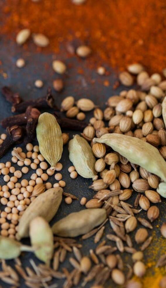 मीट मसाले में क्या मीट होता है?