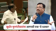 झाड तोडल्यास 50 हजारांच्या दंडाचा निर्णय मागे, सुधीर मुनगंटीवार सरकारवर भडकले; वनमंत्र्यांचं स्पष्टीकरण