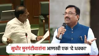झाड तोडल्यास 50 हजारांच्या दंडाचा निर्णय मागे, सुधीर मुनगंटीवार सरकारवर भडकले; वनमंत्र्यांचं स्पष्टीकरण