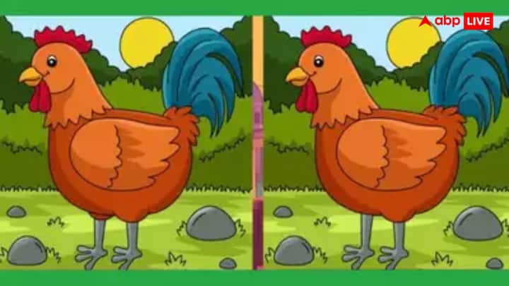 एक रंगीन मुर्गा, पीछे जंगल का नजारा, आसमान में चमकता सूरज और जमीन पर फैली घास के साथ कुछ पत्थर. लेकिन अगर आप ध्यान से देखें, तो इन तस्वीरों में कुल तीन छोटे-छोटे लेकिन साफ अंतर छिपे हैं, जिन्हें ढूंढना हर किसी के बस की बात नहीं.