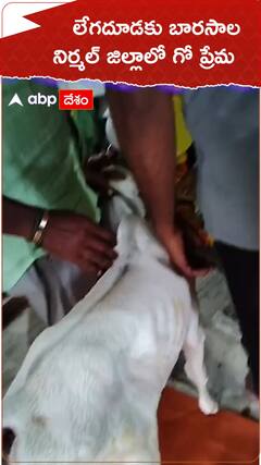 లేగదూడకు  బారసాల నిర్మల్ జిల్లా గో సేవ