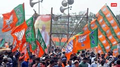 UP में नया सियासी दांव खेलेगी बीजेपी, अखिलेश यादव के PDA की यूं निकालेगी काट! मायावती की भी बढ़ेगी टेंशन