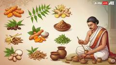 আর্থ্রাইটিসের চিকিৎসায় দারুণ ফল দিচ্ছে আয়ুর্বেদিক ওষুধ 'অর্থ্রোগ্রিট', স্বীকৃতি দিচ্ছে আন্তর্জাতিক গবেষণাপত্র