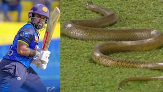Video: ग्राउंड पर घुस आया 6 फीट लंबा सांप, डर के मारे रोकना पड़ा श्रीलंका-बांग्लादेश मैच
