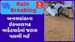 Banaskantha Marketing Yard : બનાસકાંઠામાં ભારે વરસાદથી ઇકબાલગઢ માર્કેટયાર્ડમાં જણસ પલળી ગઈ