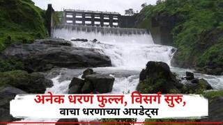 राज्यातील धरणांमधील आवक वाढली, रायगडातील 17 धरणं फुल्ल, गाेसेखुर्द धरणाचे 9 दरवाजे उघडले, वाचा धरणसाठ्याची अपडेट