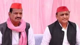 अखिलेश यादव के विधायक को कोर्ट ने फरार घोषित किया, जानें क्या है पूरा मामला