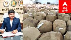 பருத்தி விவசாயிகளுக்கு நற்செய்தி - அதிக லாபம் பெற வழிகாட்டுதல் இதோ !