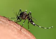 ਬਰਸਾਤ ਦਾ ਮੌਸਮ ਆਉਂਦੀਆਂ ਹੀ ਆ ਜਾਂਦੀਆਂ 6 ਬਿਮਾਰੀਆਂ, ਸਮਾਂ ਰਹਿੰਦੇ ਹੋ ਜਾਓ ਸਾਵਧਾਨ