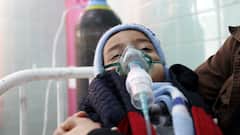 महाराष्ट्र में कुपोषण के आंकड़े चिंताजनक, ग्रामीण क्षेत्रों की तुलना में शहरों में कुपोषित बच्चों की संख्या ज्यादा