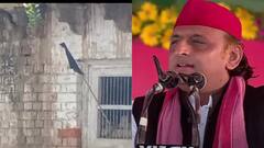 आजमगढ़ में ब्राह्मणों ने किया सपा चीफ अखिलेश यादव का विरोध, घरों के बाहर लगाया काला झंडा