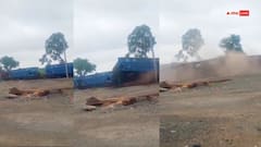 झारखंड के साहिबगंज में मालगाड़ी ने दूसरी ट्रेन को मारी टक्कर, देखें हादसे का LIVE वीडियो