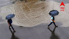 West Bengal Weather: কখনও মেঘ, কখনও রোদের তেজ; বজ্রবিদ্যুৎ সহ বৃষ্টির সতর্কতা এই জেলাগুলিতে