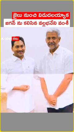 జైలు నుంచి విడుదలయ్యాక జగన్ ను కలిసిన వల్లభనేని వంశీ