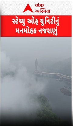 Narmada : SOU : સ્ટેચ્યુ ઓફ યુનિટીનો આ નજારો તમારું મન મોહી લેશે.. જુઓ આ આહલાદક નજારો