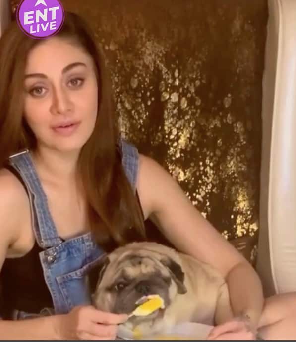 Shefali Jariwala Serves Up Ice Cream, Cuddles & Good Vibes to Beat the Lockdown Blues! ????????