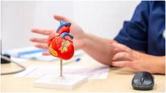 హార్ట్ ఎటాక్ రావొద్దంటే ఈ ఐదు పనులు చేయకూడదట.. గుండె ఆరోగ్యం కోసం ఫాలో అయిపోండి